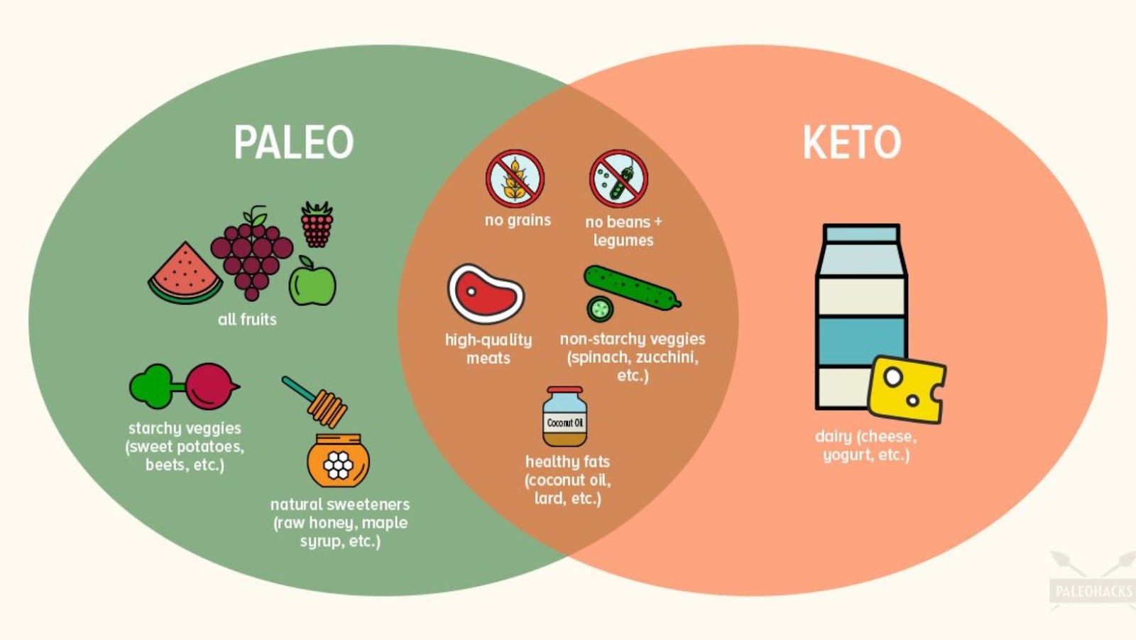Paleo or Ketogenic Diet Which One Has More Benefits Help In Us